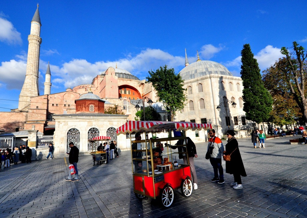 بطاقة اسطنبول متحف باس لتتبع سريع