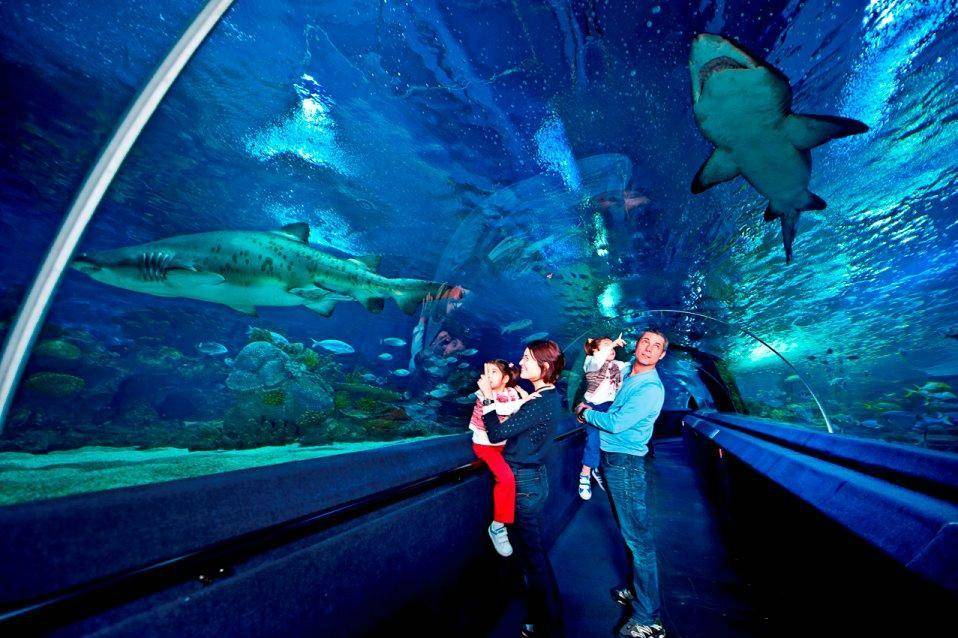 Istanbul Aquarium Entrance Fee