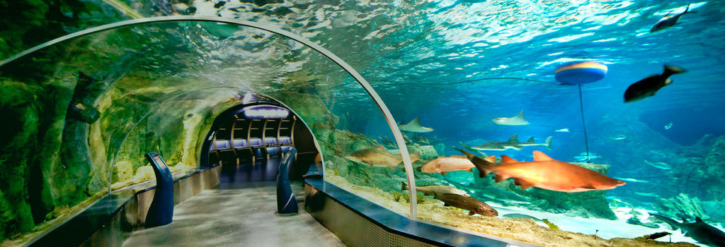 istanbul aquarium entrance fee and hours istanbul clues